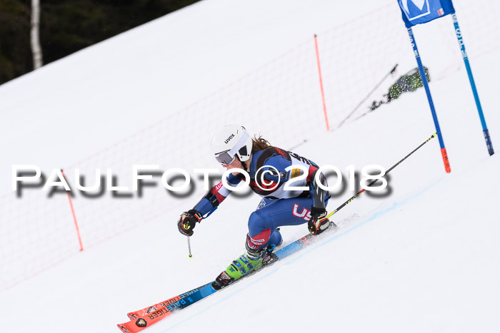 Int. FIS Rennen Damen, RS, Maria Alm 09.01.2018