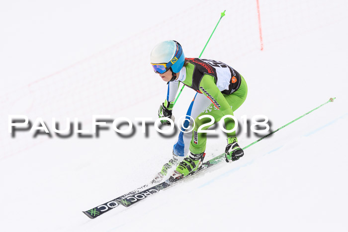 Int. FIS Rennen Damen, RS, Maria Alm 09.01.2018