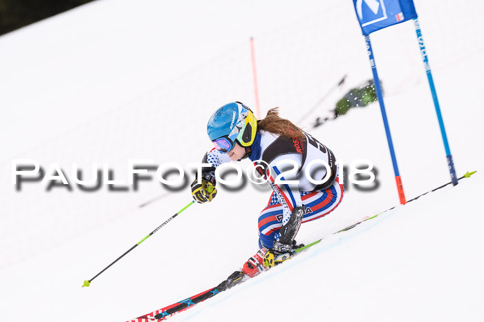 Int. FIS Rennen Damen, RS, Maria Alm 09.01.2018