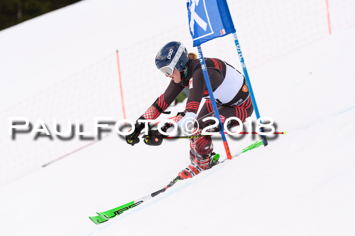 Int. FIS Rennen Damen, RS, Maria Alm 09.01.2018
