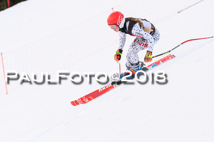 Int. FIS Rennen Damen, RS, Maria Alm 09.01.2018