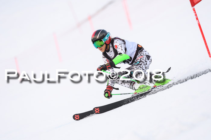 Int. FIS Rennen Damen, RS, Maria Alm 09.01.2018