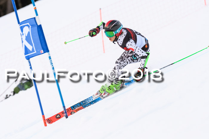 Int. FIS Rennen Damen, RS, Maria Alm 09.01.2018