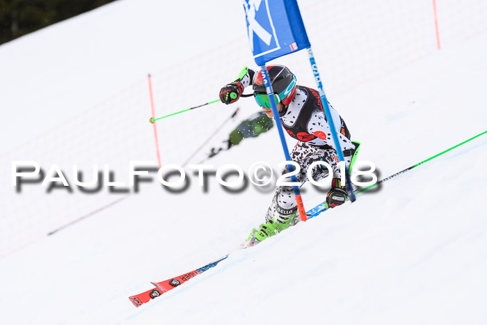 Int. FIS Rennen Damen, RS, Maria Alm 09.01.2018