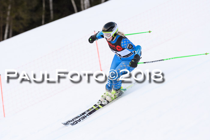 Int. FIS Rennen Damen, RS, Maria Alm 09.01.2018