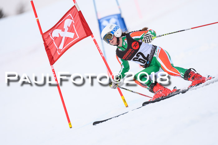 Int. FIS Rennen Damen, RS, Maria Alm 09.01.2018