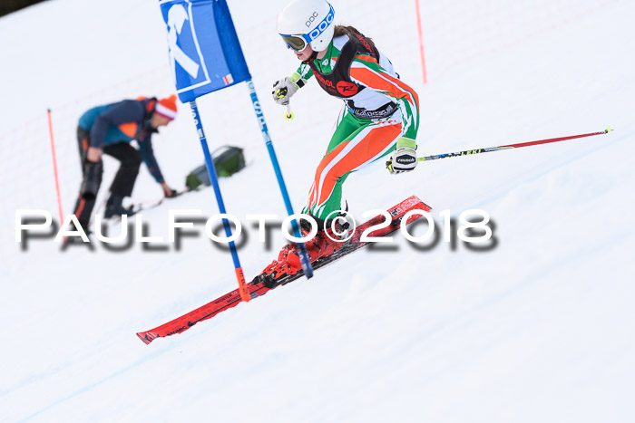 Int. FIS Rennen Damen, RS, Maria Alm 09.01.2018