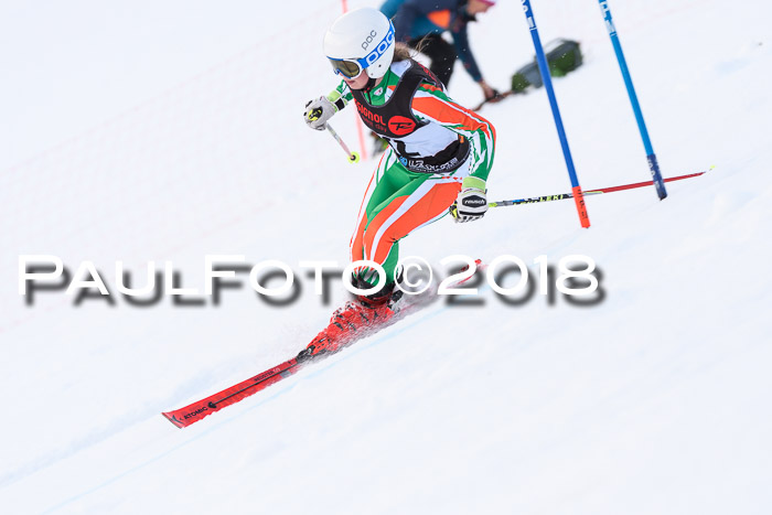Int. FIS Rennen Damen, RS, Maria Alm 09.01.2018
