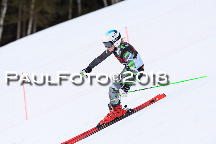 Int. FIS Rennen Damen, RS, Maria Alm 09.01.2018