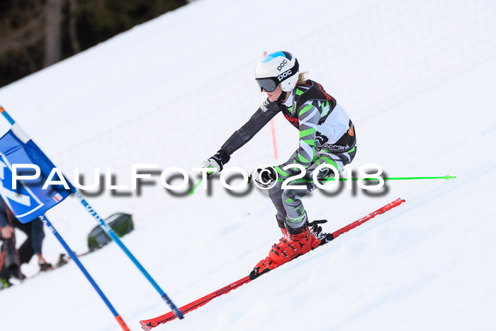 Int. FIS Rennen Damen, RS, Maria Alm 09.01.2018