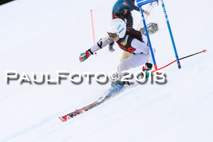 Int. FIS Rennen Damen, RS, Maria Alm 09.01.2018