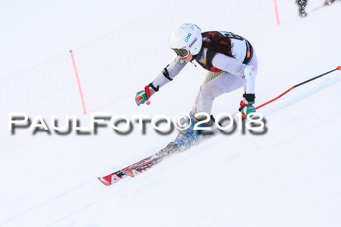 Int. FIS Rennen Damen, RS, Maria Alm 09.01.2018