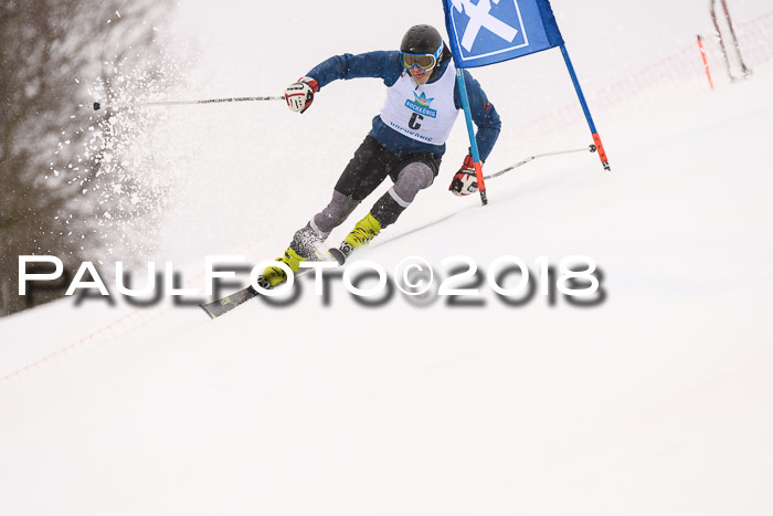 Int. FIS Rennen Damen, RS, Maria Alm 09.01.2018