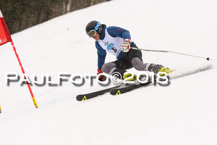 Int. FIS Rennen Damen, RS, Maria Alm 09.01.2018