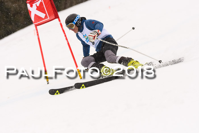 Int. FIS Rennen Damen, RS, Maria Alm 09.01.2018