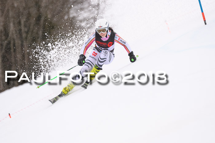 Int. FIS Rennen Damen, RS, Maria Alm 09.01.2018