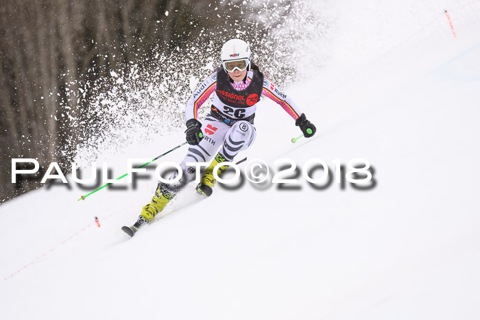 Int. FIS Rennen Damen, RS, Maria Alm 09.01.2018