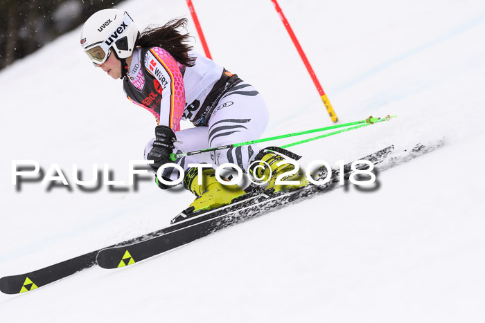 Int. FIS Rennen Damen, RS, Maria Alm 09.01.2018