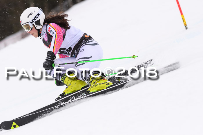 Int. FIS Rennen Damen, RS, Maria Alm 09.01.2018
