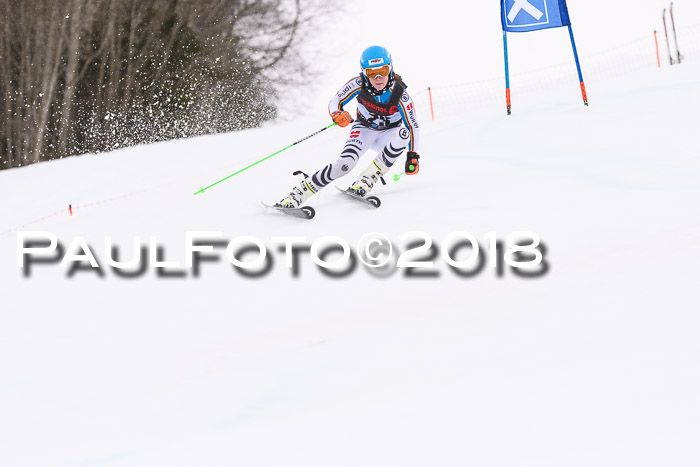Int. FIS Rennen Damen, RS, Maria Alm 09.01.2018