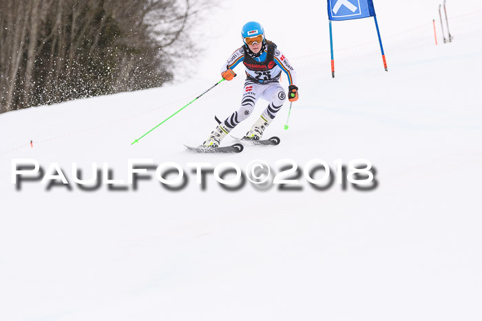 Int. FIS Rennen Damen, RS, Maria Alm 09.01.2018