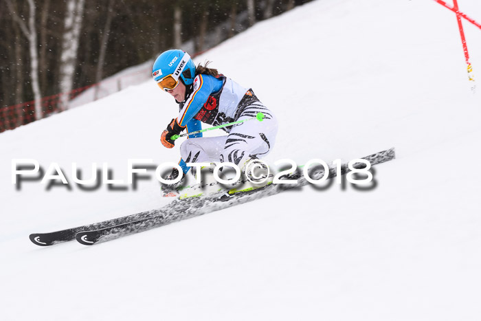 Int. FIS Rennen Damen, RS, Maria Alm 09.01.2018