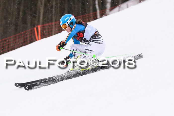 Int. FIS Rennen Damen, RS, Maria Alm 09.01.2018