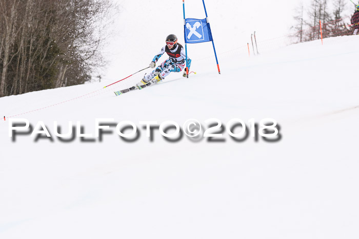 Int. FIS Rennen Damen, RS, Maria Alm 09.01.2018