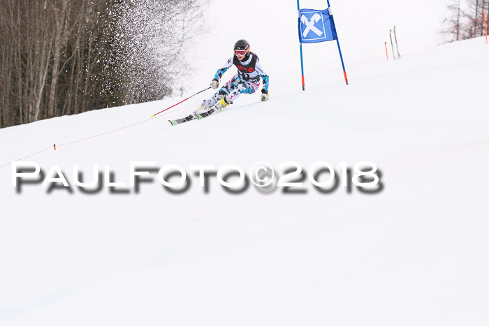 Int. FIS Rennen Damen, RS, Maria Alm 09.01.2018