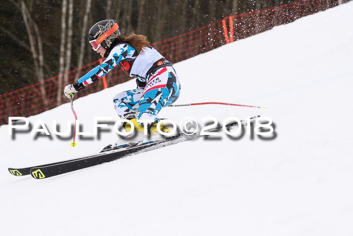 Int. FIS Rennen Damen, RS, Maria Alm 09.01.2018