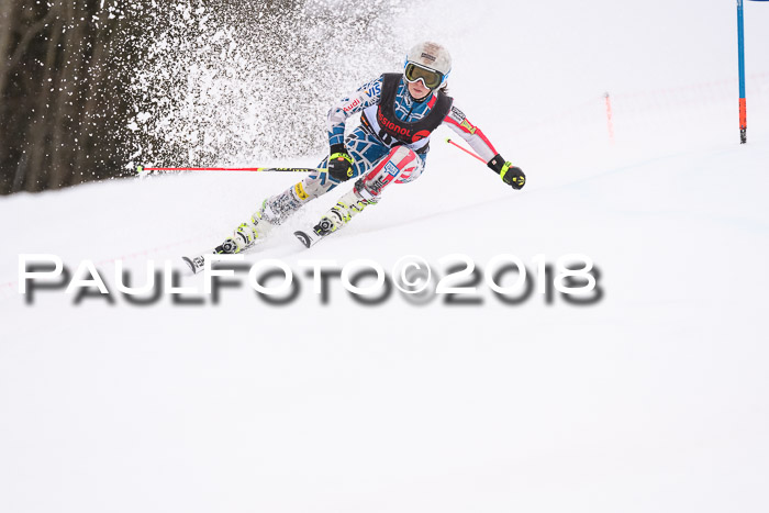 Int. FIS Rennen Damen, RS, Maria Alm 09.01.2018