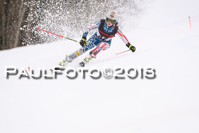Int. FIS Rennen Damen, RS, Maria Alm 09.01.2018