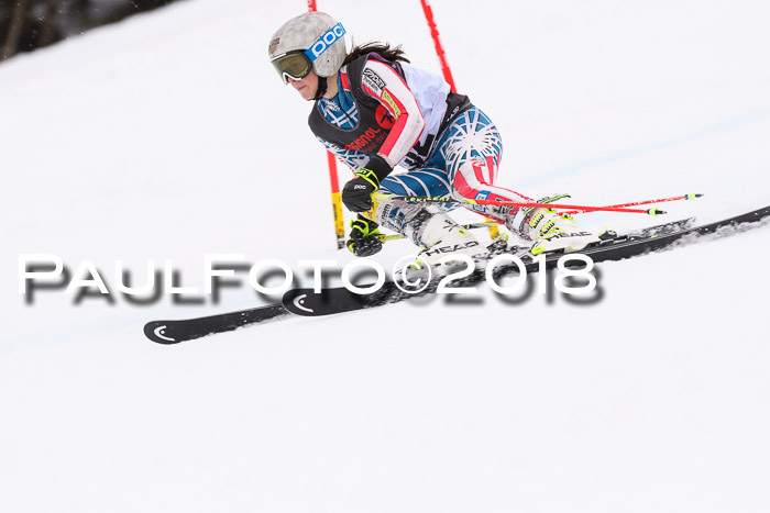 Int. FIS Rennen Damen, RS, Maria Alm 09.01.2018