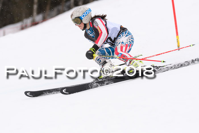 Int. FIS Rennen Damen, RS, Maria Alm 09.01.2018