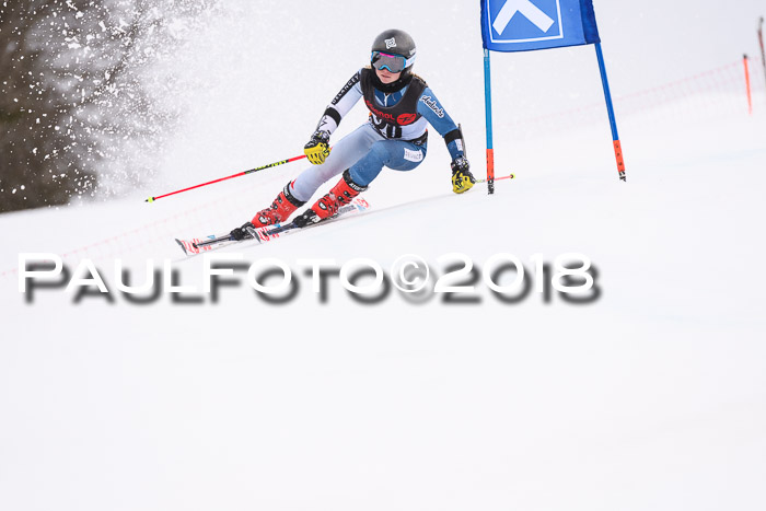 Int. FIS Rennen Damen, RS, Maria Alm 09.01.2018