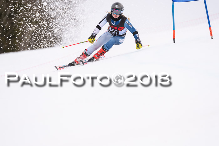 Int. FIS Rennen Damen, RS, Maria Alm 09.01.2018