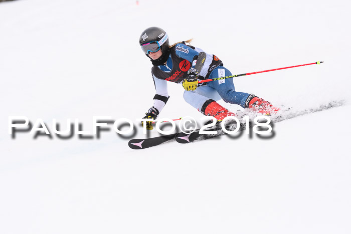 Int. FIS Rennen Damen, RS, Maria Alm 09.01.2018