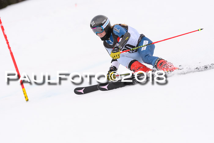 Int. FIS Rennen Damen, RS, Maria Alm 09.01.2018