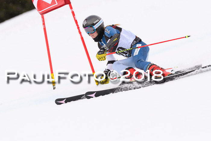 Int. FIS Rennen Damen, RS, Maria Alm 09.01.2018