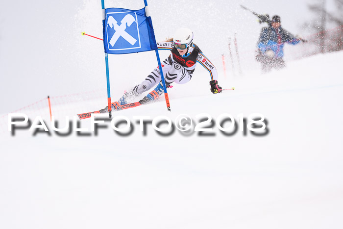 Int. FIS Rennen Damen, RS, Maria Alm 09.01.2018
