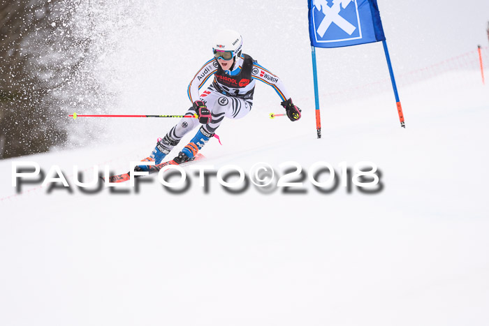 Int. FIS Rennen Damen, RS, Maria Alm 09.01.2018