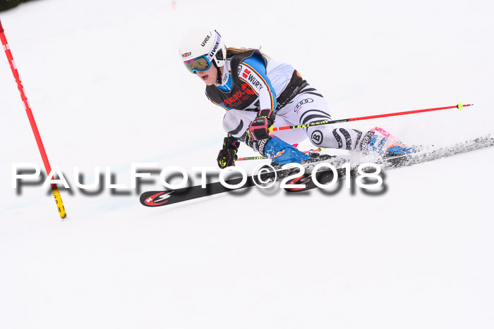 Int. FIS Rennen Damen, RS, Maria Alm 09.01.2018