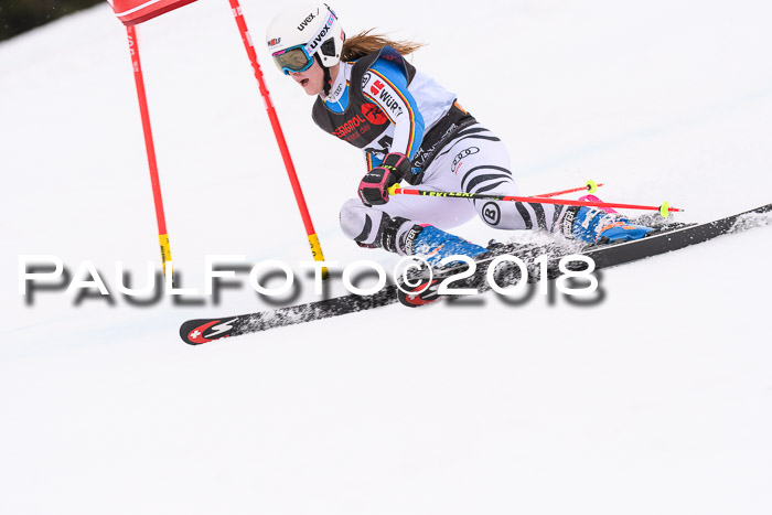 Int. FIS Rennen Damen, RS, Maria Alm 09.01.2018