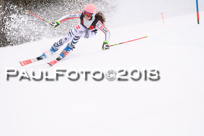 Int. FIS Rennen Damen, RS, Maria Alm 09.01.2018