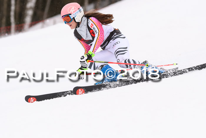 Int. FIS Rennen Damen, RS, Maria Alm 09.01.2018
