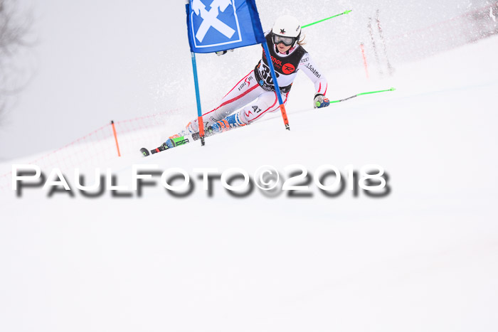 Int. FIS Rennen Damen, RS, Maria Alm 09.01.2018