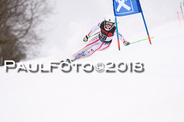 Int. FIS Rennen Damen, RS, Maria Alm 09.01.2018