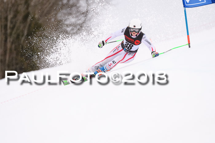 Int. FIS Rennen Damen, RS, Maria Alm 09.01.2018