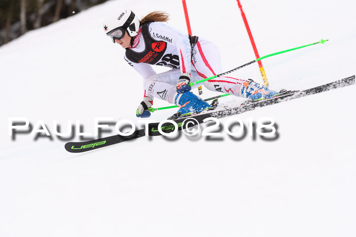 Int. FIS Rennen Damen, RS, Maria Alm 09.01.2018