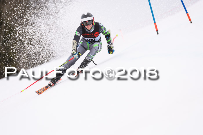 Int. FIS Rennen Damen, RS, Maria Alm 09.01.2018